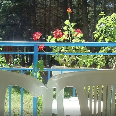 Continental Park فندق ساني بيتش