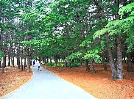 Continental Park 3*
