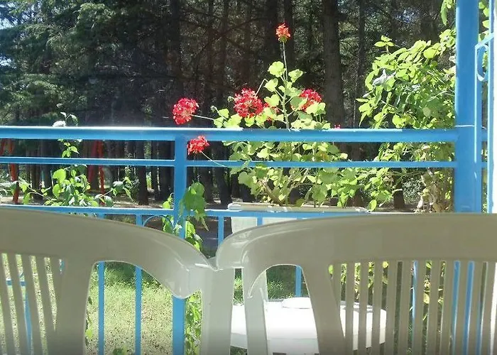 Continental Park Hotel Sunny Beach